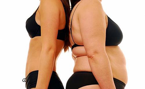 Perigos da Gordura Abdominal