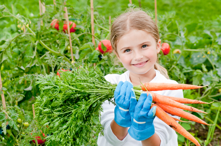 menina ao pé de vegetais e legumes orgânicos