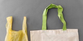 Ecobag