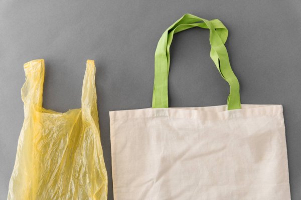 Ecobag